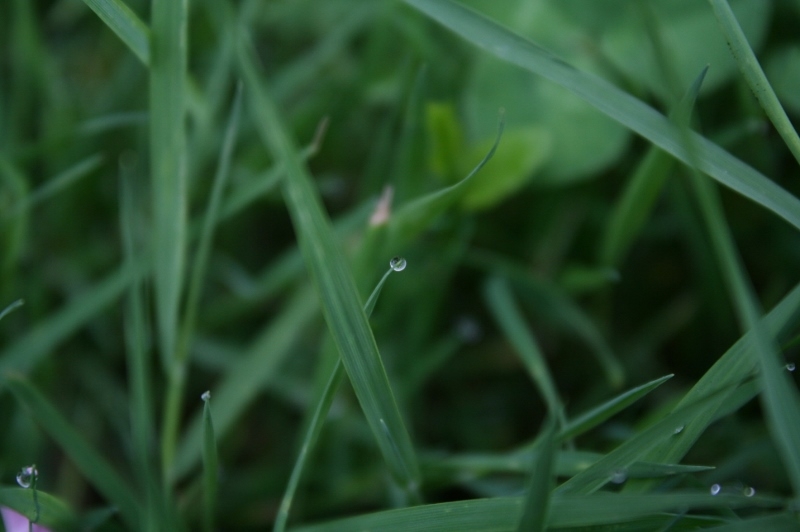 Village Camps International Summer Camp Ard&egrave;che, France 2019-07-26 https://www.villagecamps.com/journals_admin/images/928-34-kids pics (49) (800x532).jpg